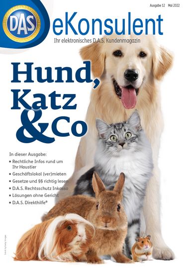 Ausgabe 12 | Mai 2022