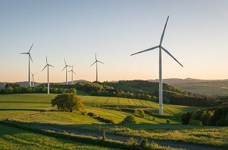 Windräder auf einem Feld