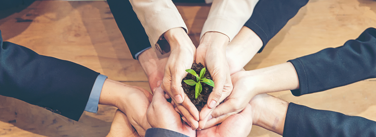 Mehrere Personen halten mit ihren Händen eine kleine Pflanze